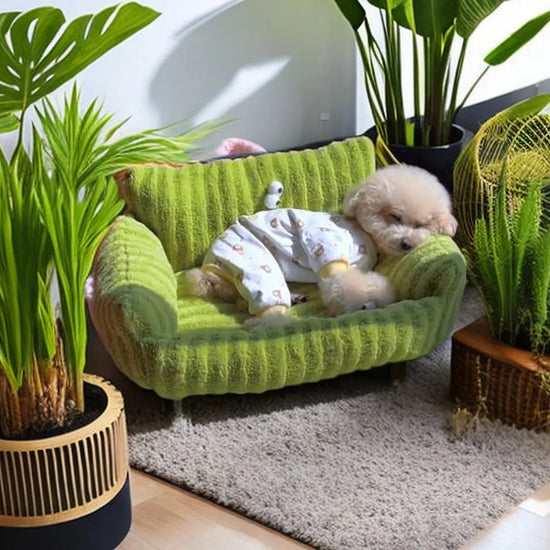 Puppy special sofa
