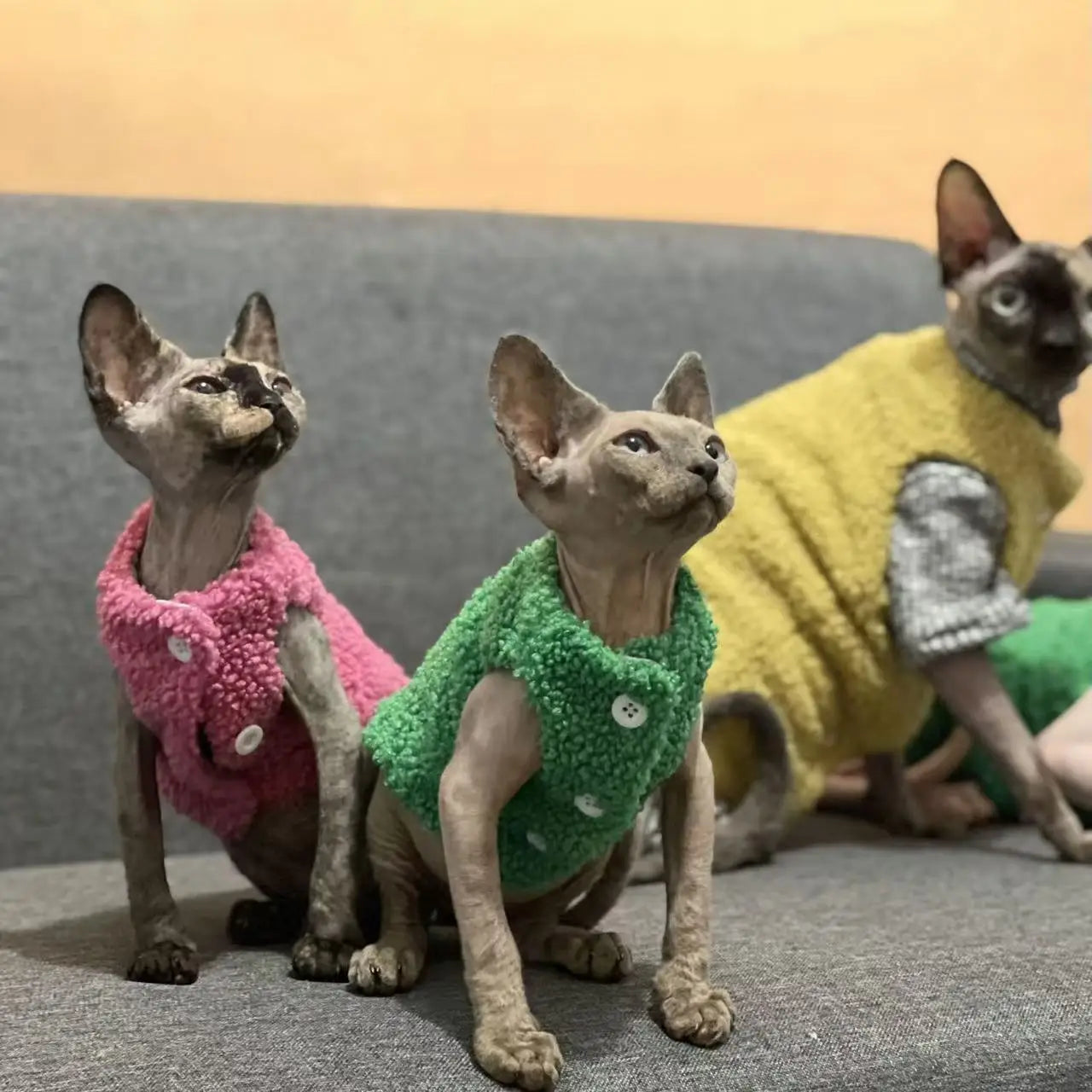Cat clothes, warm lamb wool vest,