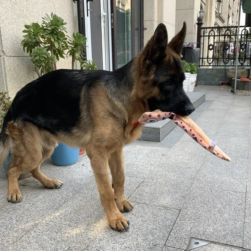 Dog Squeaky Toys