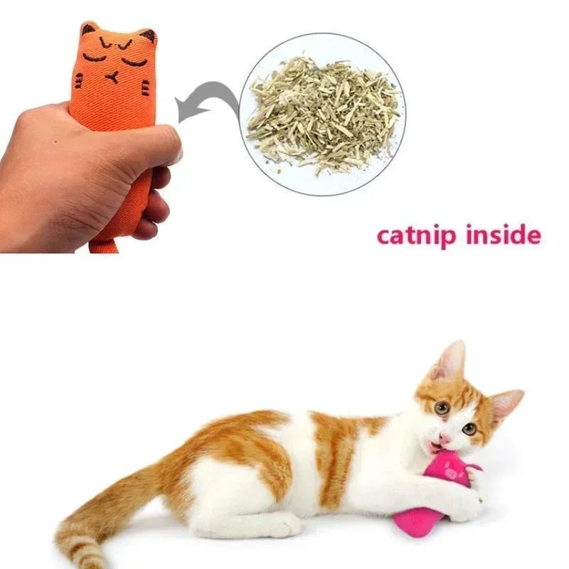 Cat  Catnip Toys