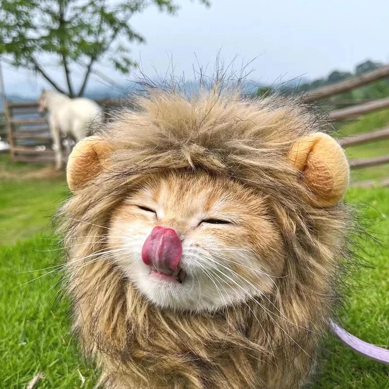 Cat Cosplay Dress Up Pet Hat Lion Mane