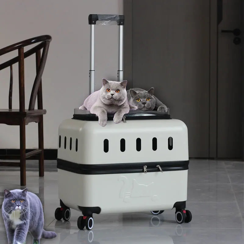 Large Pet Travel Carrier Rolling