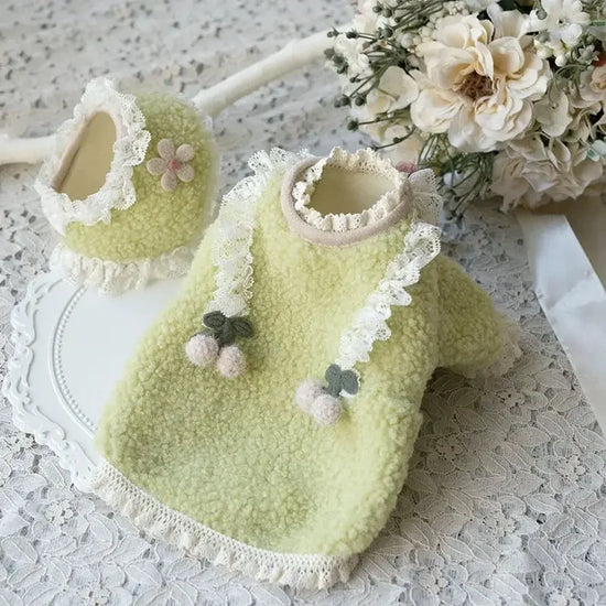 Petal Cream Teddy Plush Shirt Marzis Bear Bomei Yorkshire Set