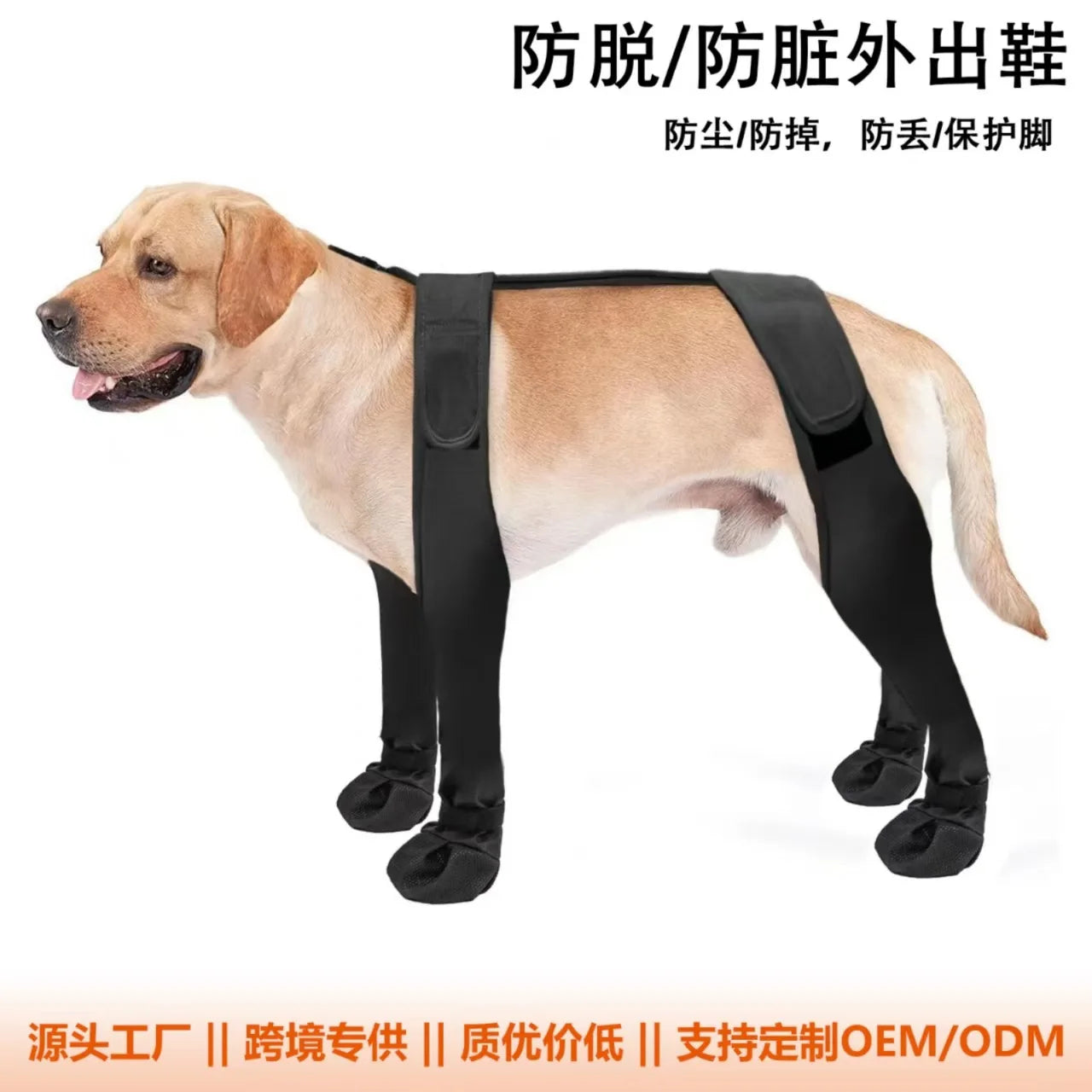 go out dog boots