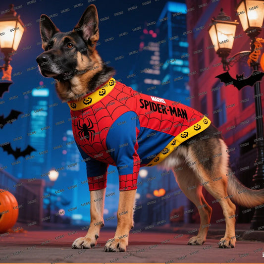 Disney Marvel Spider-Man Pattern