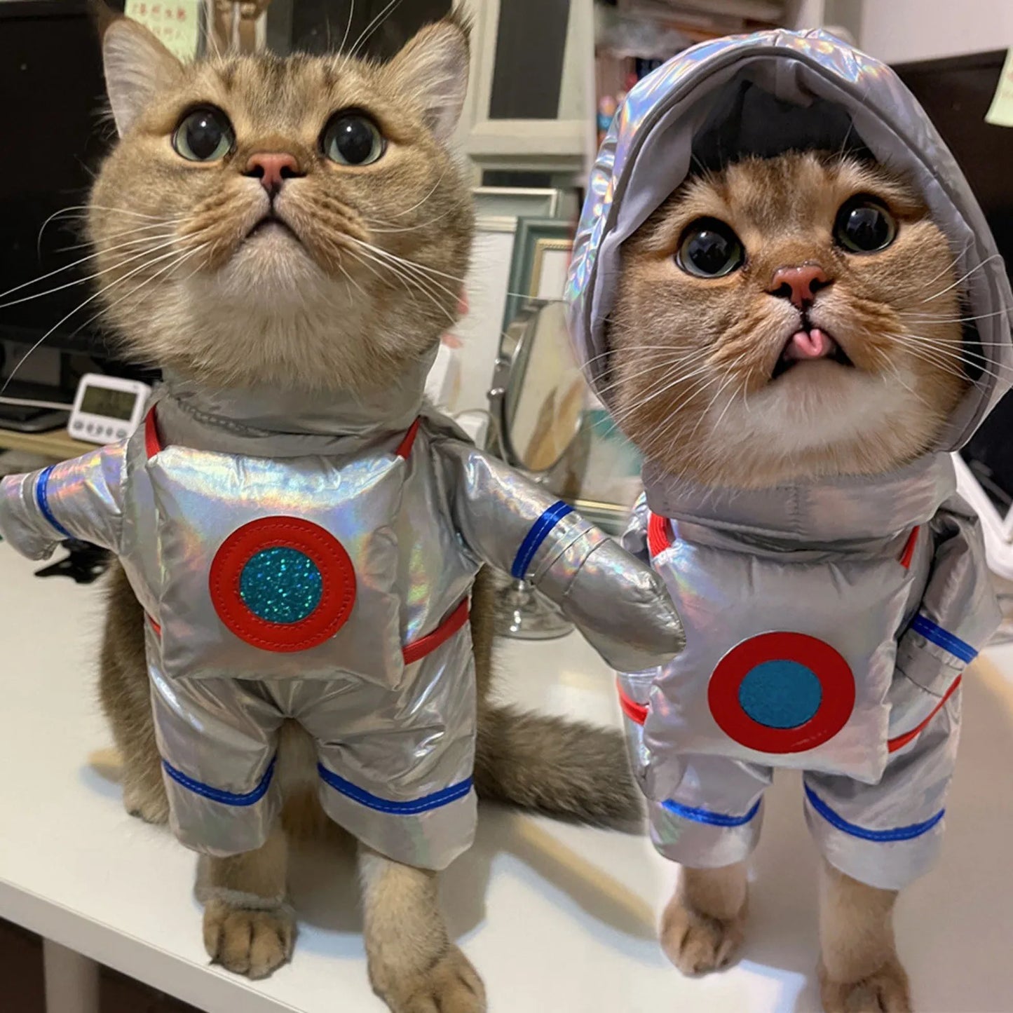Dogs or cats Space Suit