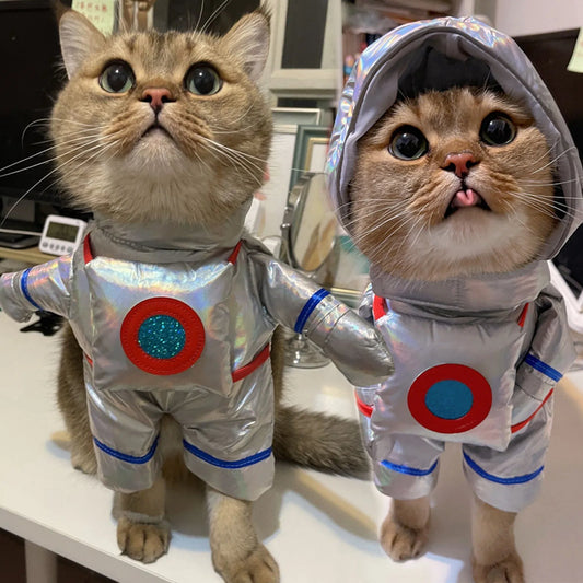 Dogs or cats Space Suit
