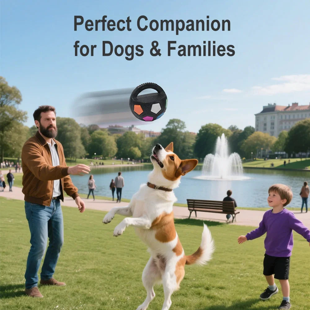 Pet Dog Toy Football Shape