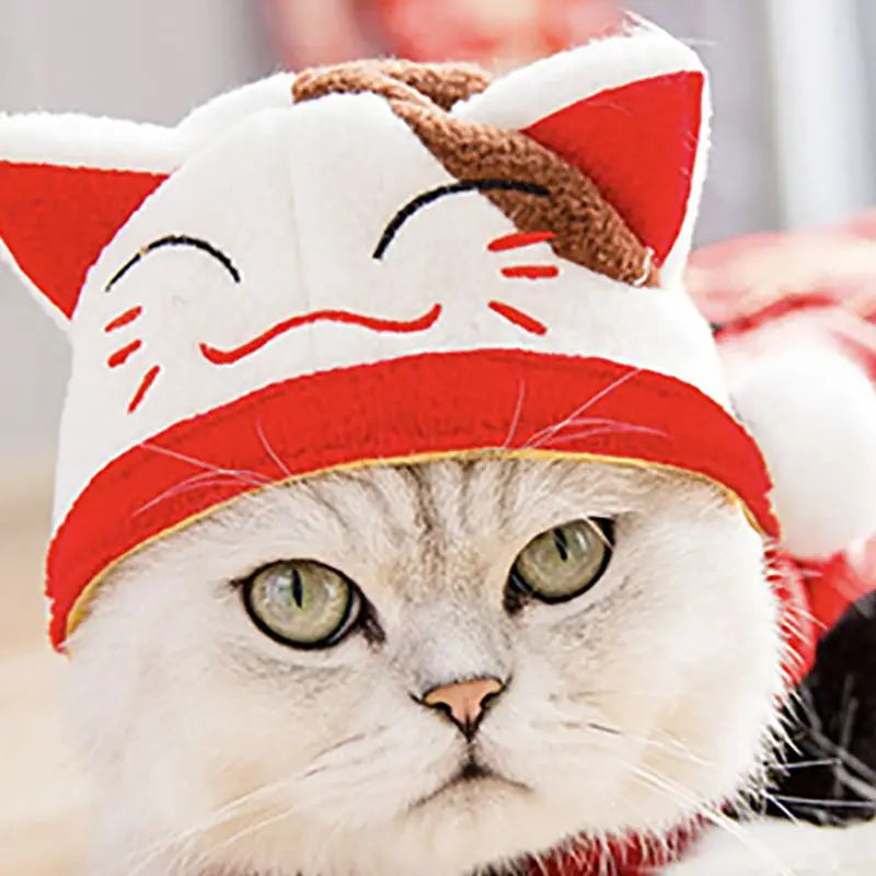 Halloween Funny Pet Cat Cap Costume