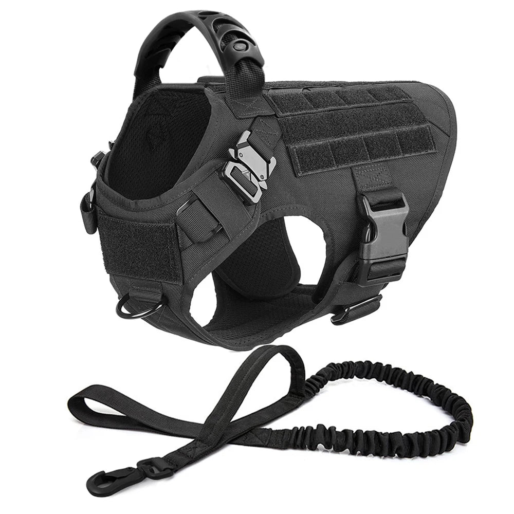 Large Dog Harness And Leash