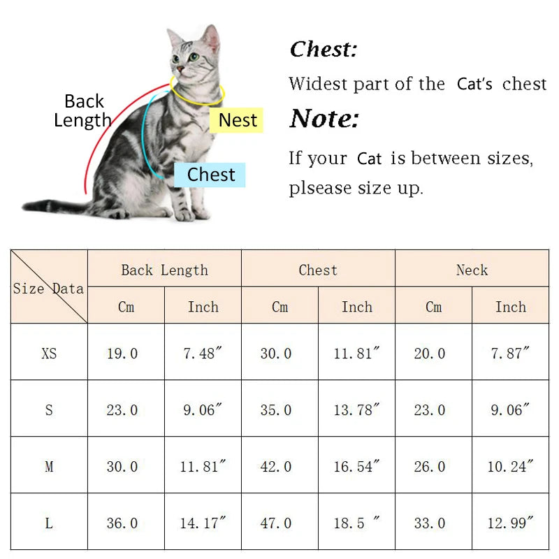 Classic Sphynx Cat T Shirt