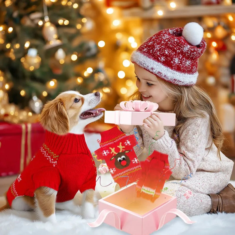 Dog Sweater Christmas