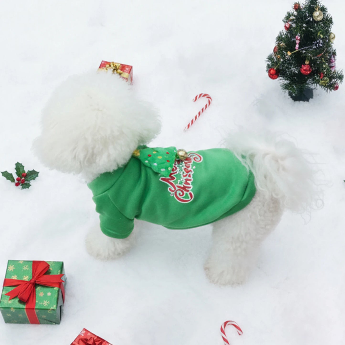 Pet Autumn/Winter Christmas Hoodie