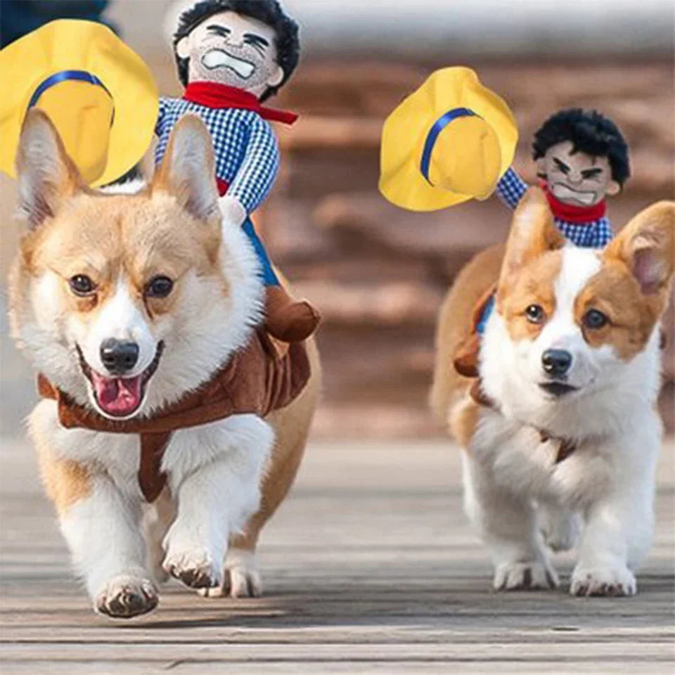 Halloween Party Dog Clothes