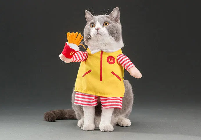 Pet Costume Clothes Suit