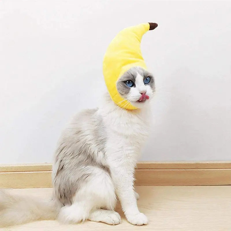 Halloween Funny Pet Cat Cap Costume