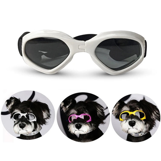 Foldable Pet Glasses