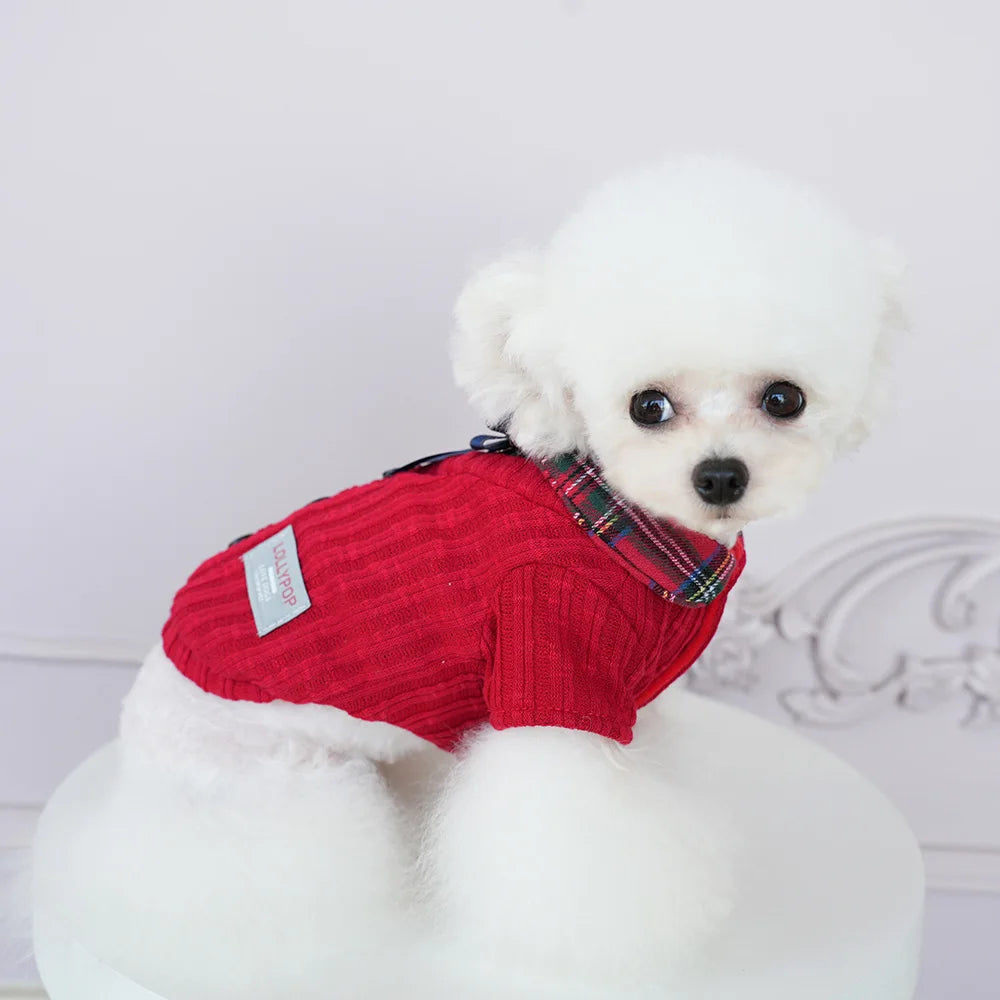 Autumn Winter New Pet Dog Clothes