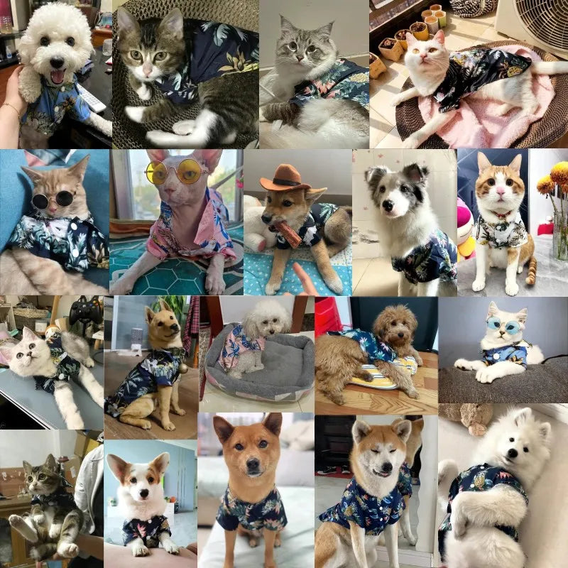 Hawaiian Beach Style Dog Shirt
