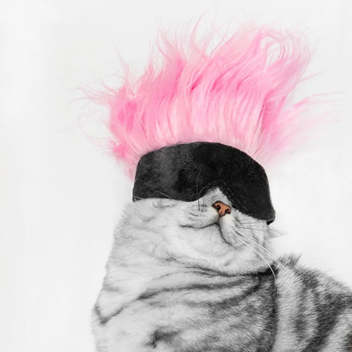New Cool Pet Wigs