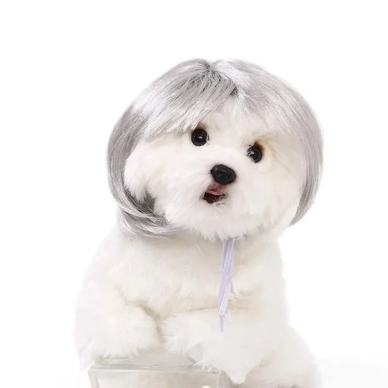 Pet Wig Dog And Cat