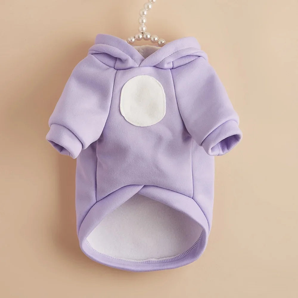 Cute Hairless Cat Clothes
