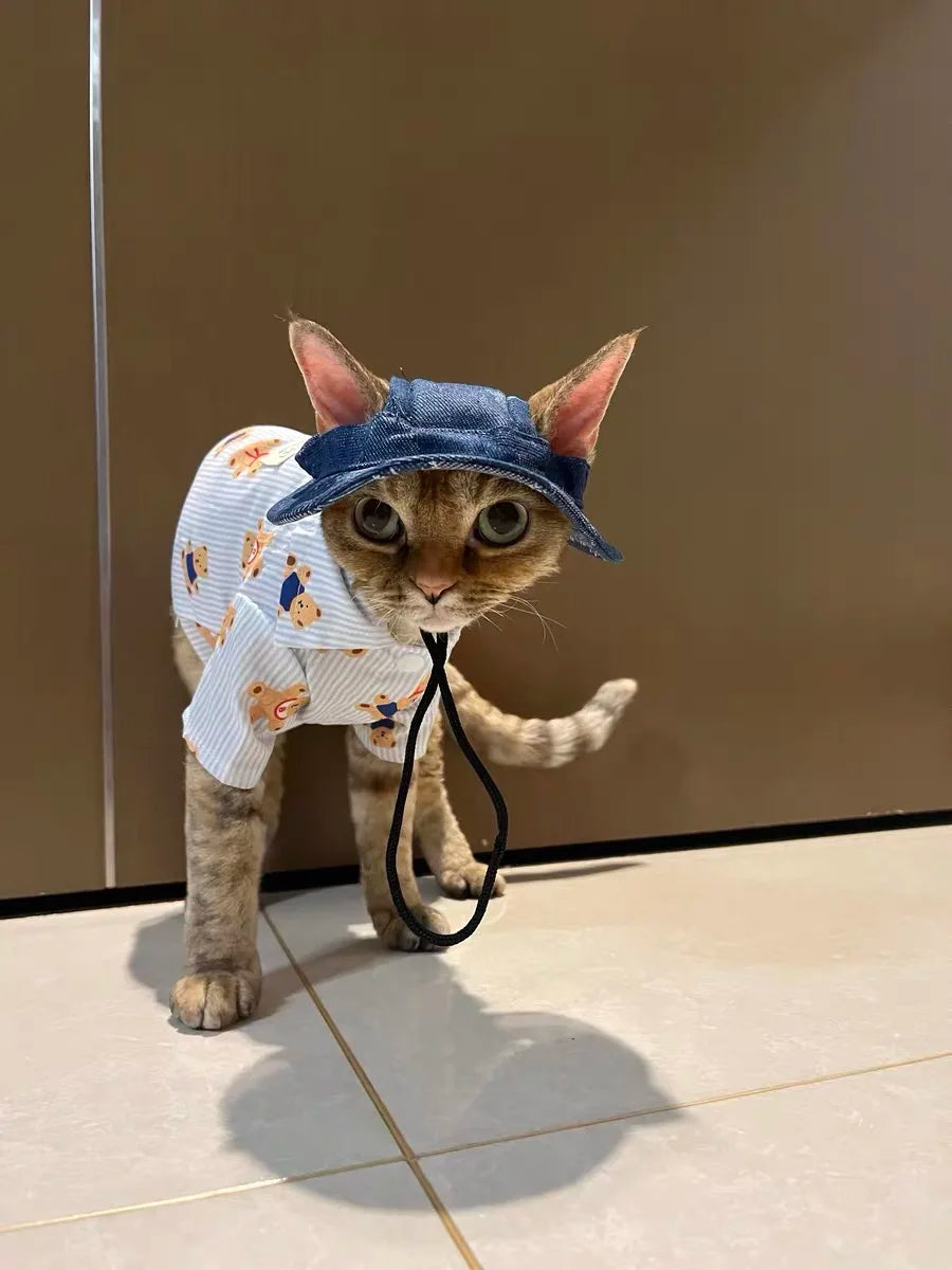 Fashion Cat hat Summer Sun Hats for Sphynx Kittens Open Ears Blue Cowboy Hats Adjustable Cap Cord for Devon Rex Cat Supplies
