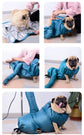 Pet Dogs Dryer