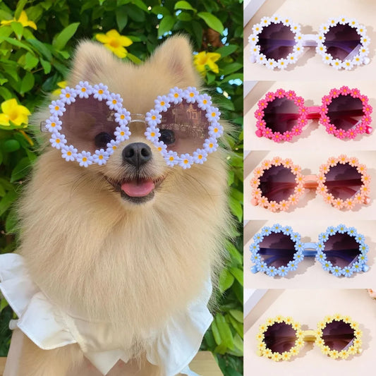 Pet Accessories Flower Sunglasses
