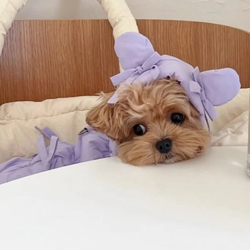 Winter Padded Dog Jacket Coat