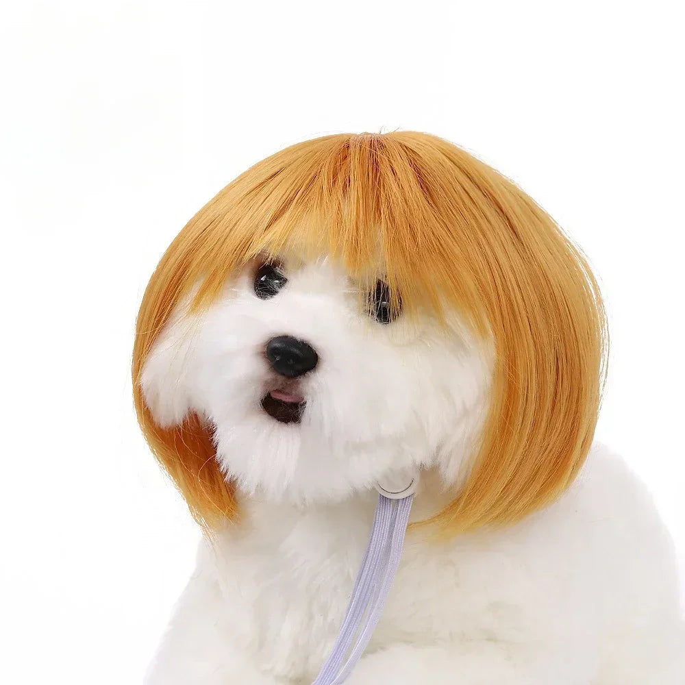 Pet Wig