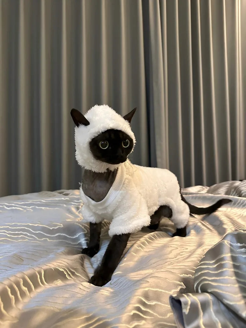 Hairless cat clothes