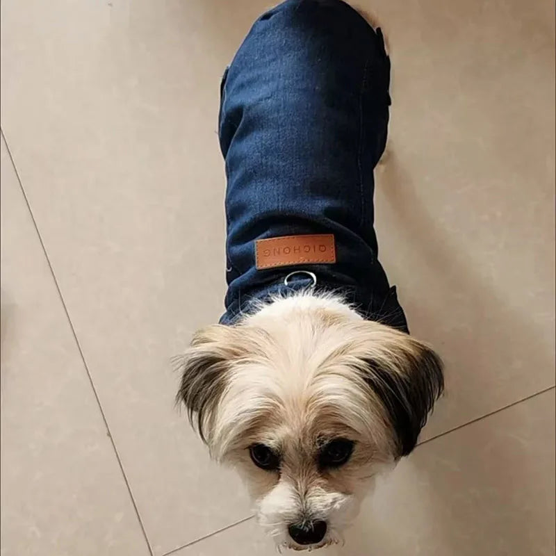 Dog Puppy Coat Jacket