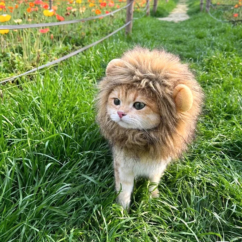 Cat Cosplay Dress Up Pet Hat Lion Mane