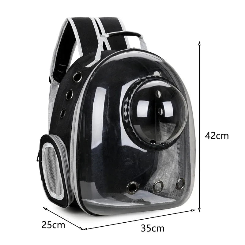 Transparent Cat Backpack