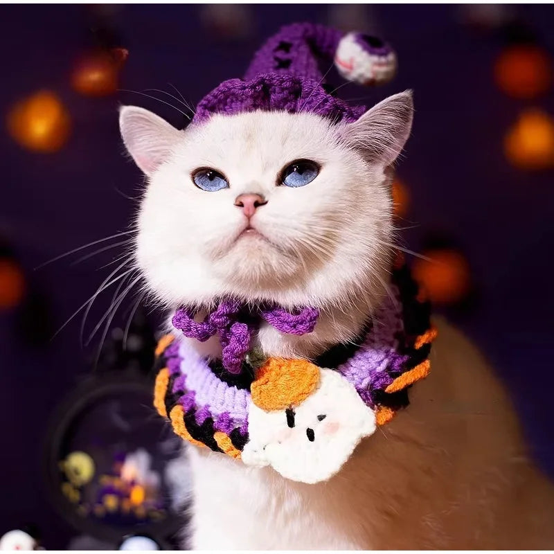 Halloween Dog & Cat Collar