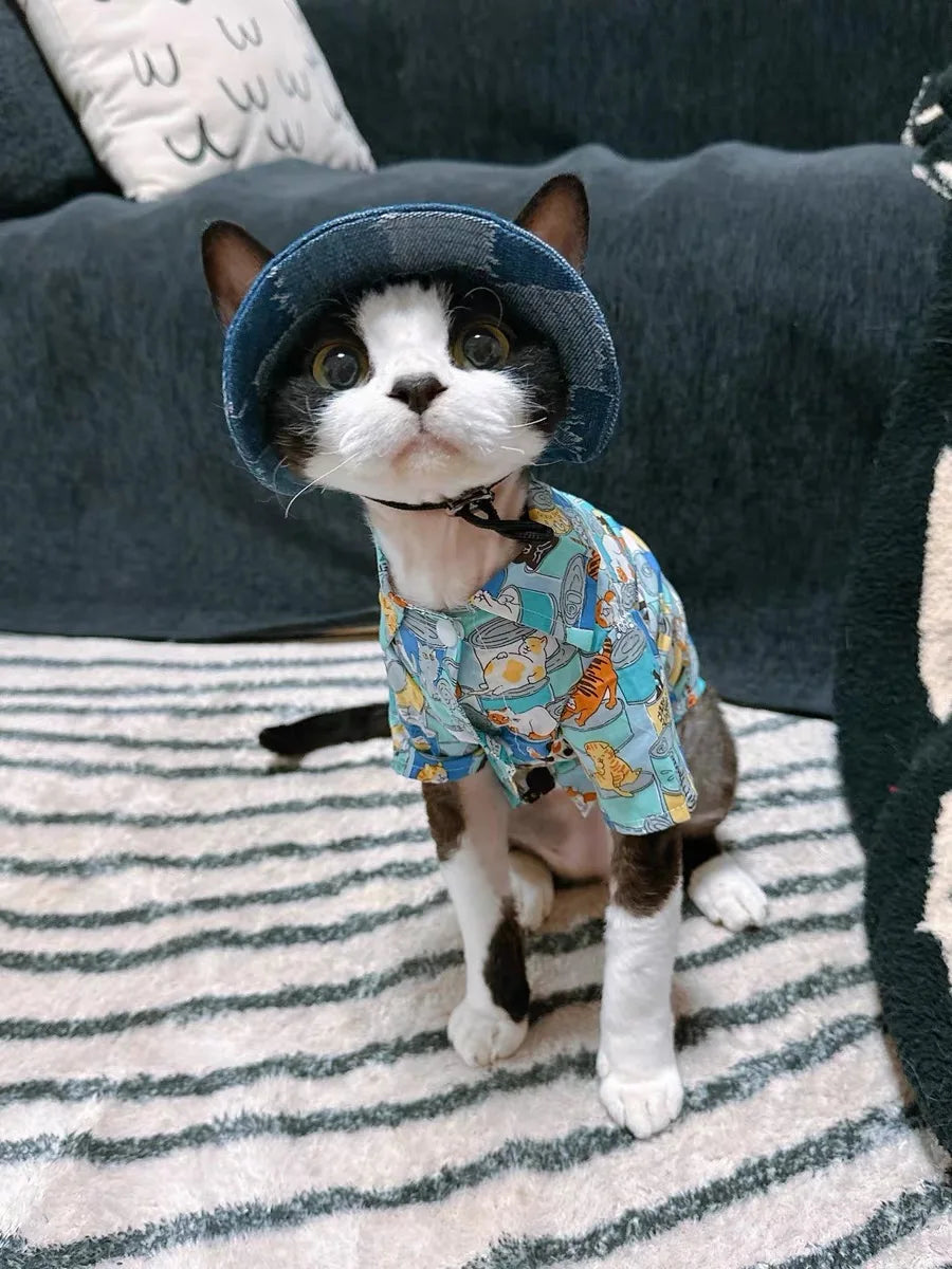 Fashion Cat hat Summer Sun Hats for Sphynx Kittens Open Ears Blue Cowboy Hats Adjustable Cap Cord for Devon Rex Cat Supplies