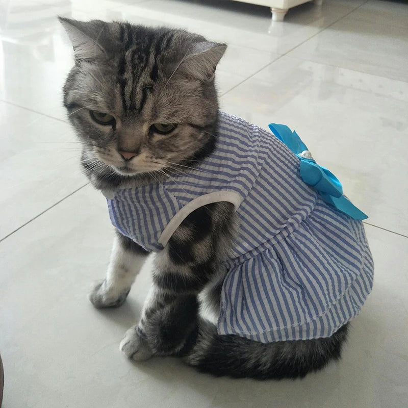 Spring Summer Stripe Sphynx Cat Bow Skirt