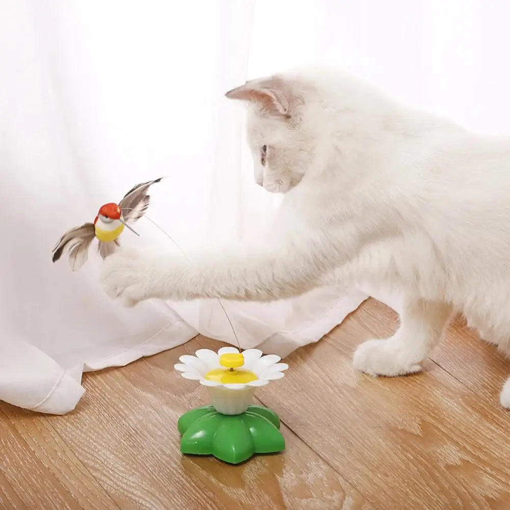 Electric Butterfly or Humming Bird Cat Toy