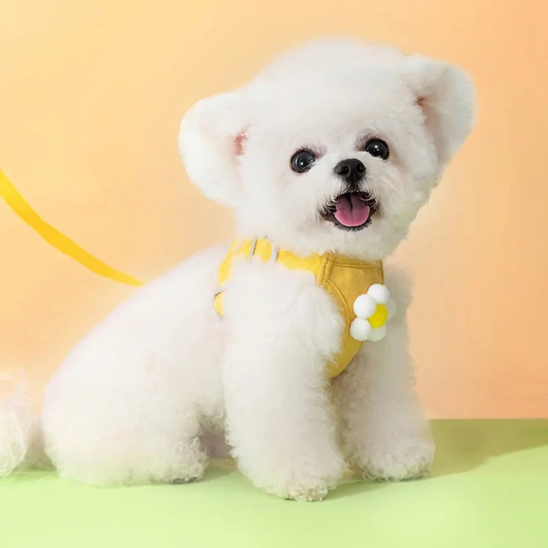 Dog Harness for Small Medium Dog