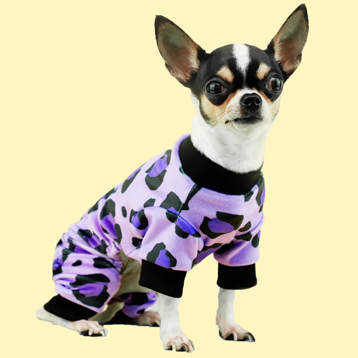 Leopard Dog Pajamas: