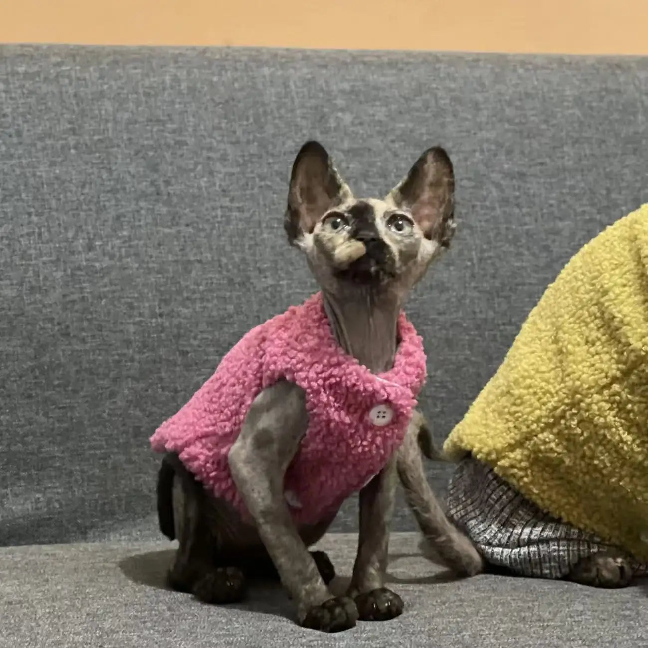 Cat clothes, warm lamb wool vest,
