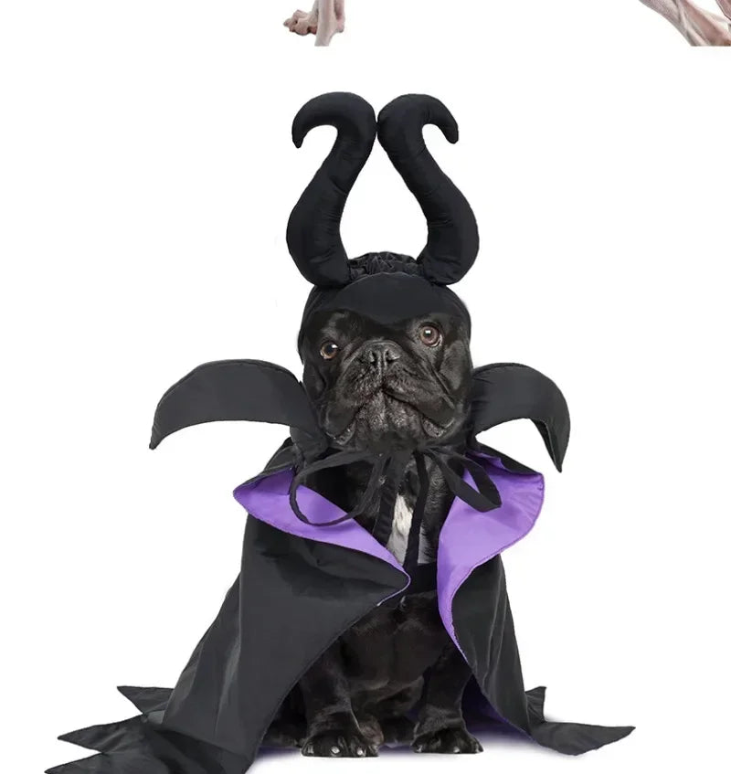 Halloween Witch-Shaped Costume