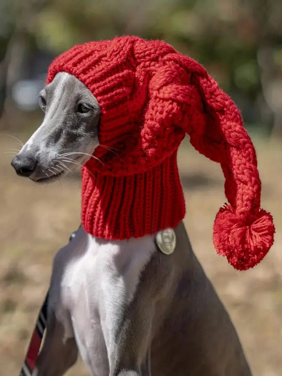 Hand knit winter wool greyhound beanie