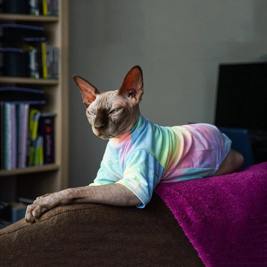 Sphinx Hairless Cat Clothes Deven Breathable T-shirt For Cats Stretch Fabric Clothing For Kitten Pet Shirt Coats For Puppy