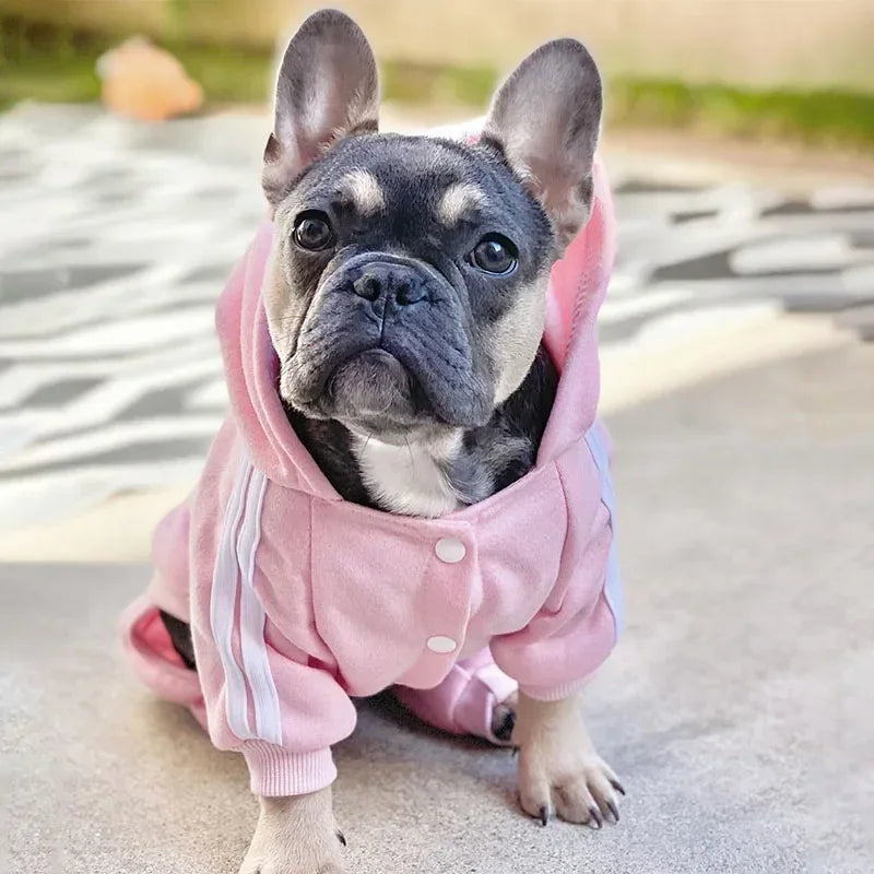 Pet Clothes  Jumpsuit