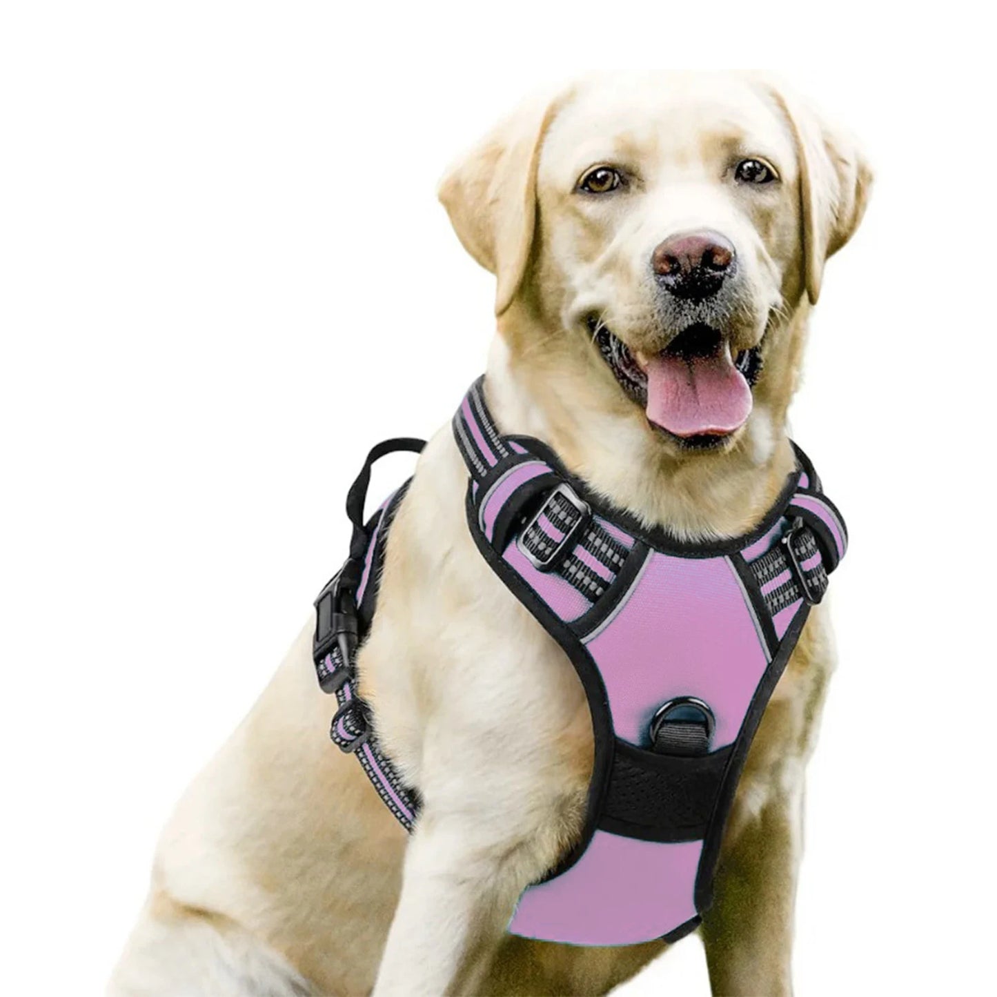 Dog Harness No Pull