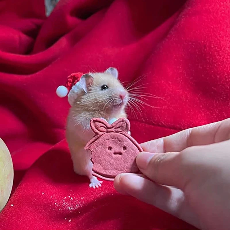 Hand Woven Hampster Christmas Hat