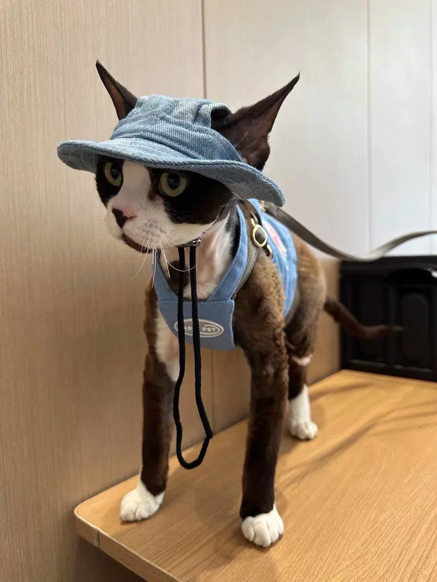 Fashion Cat hat Summer Sun Hats for Sphynx Kittens Open Ears Blue Cowboy Hats Adjustable Cap Cord for Devon Rex Cat Supplies