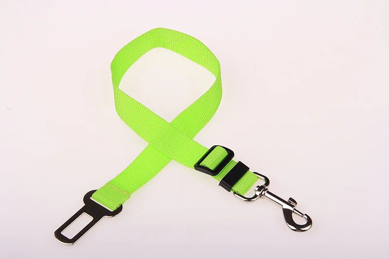 Car Seat Belt Buckle